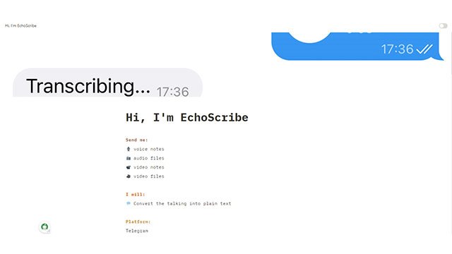 EchoScribe